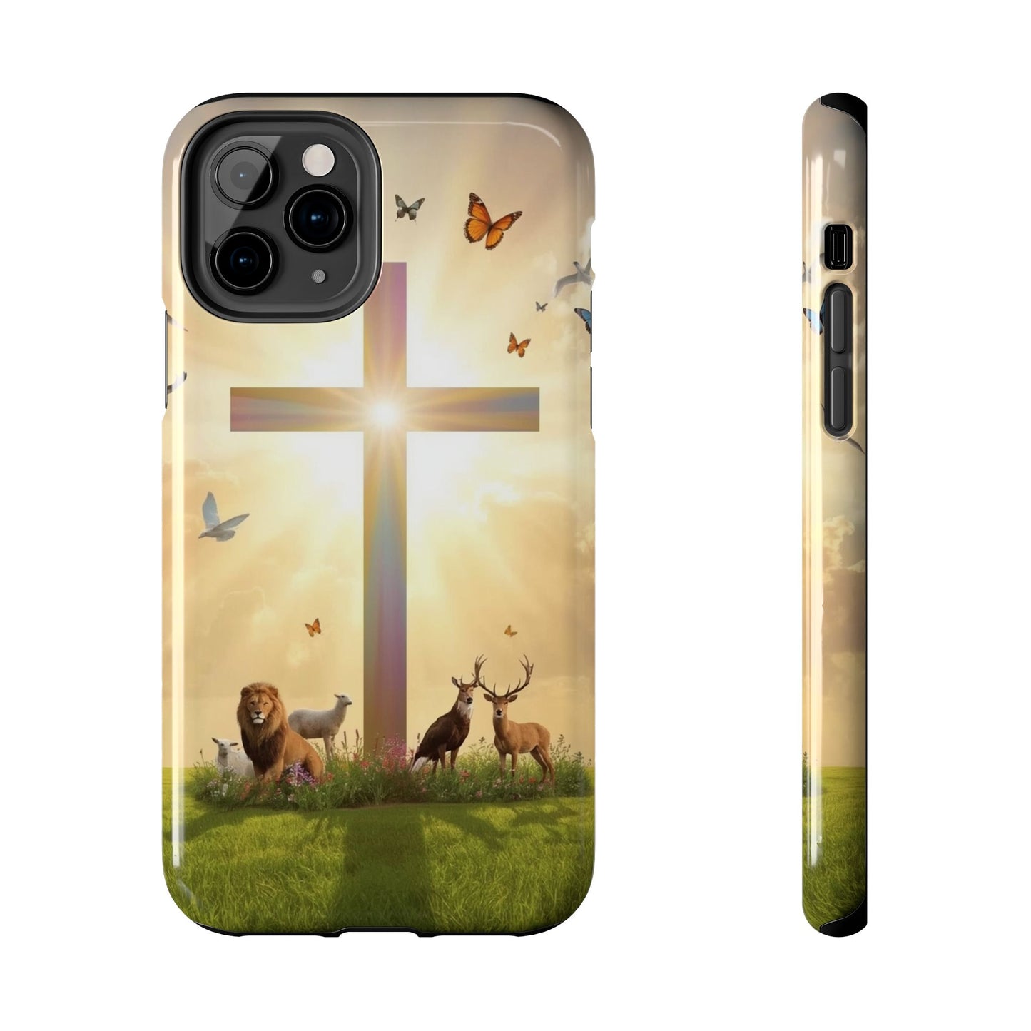 Creator and Creation