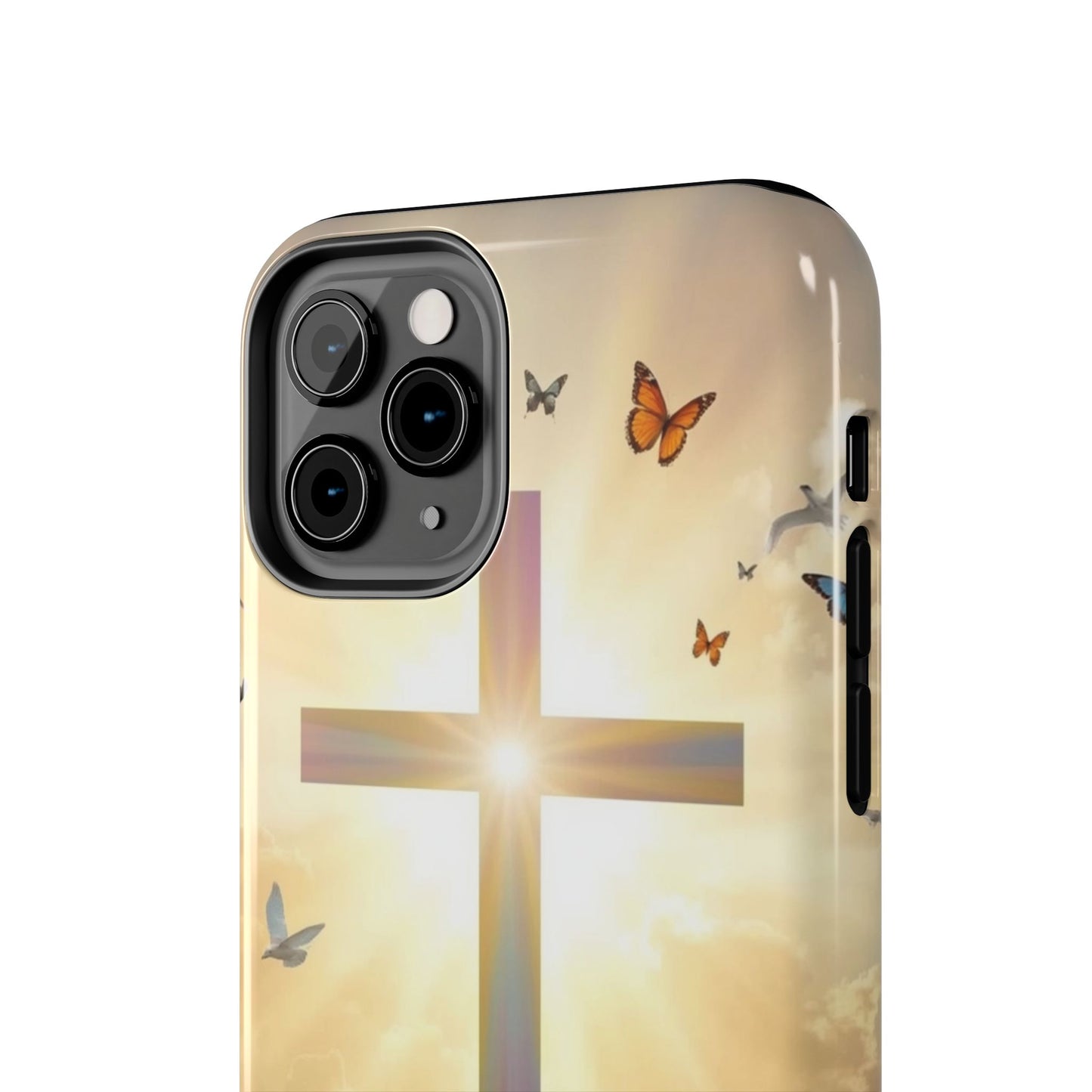 Creator and Creation