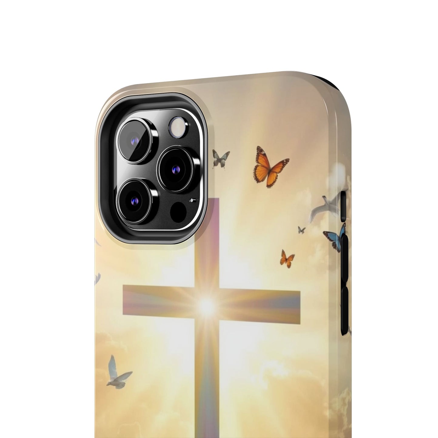 Creator and Creation