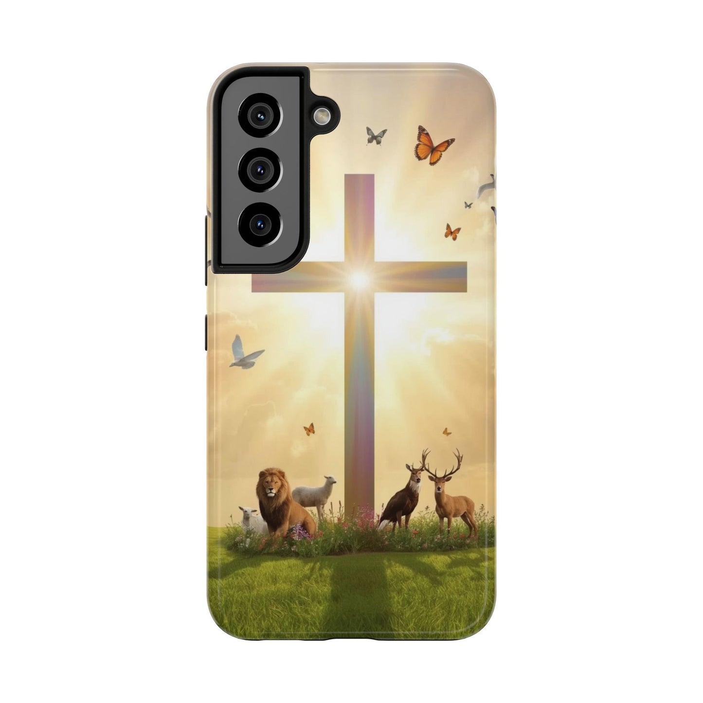 Creator and Creation