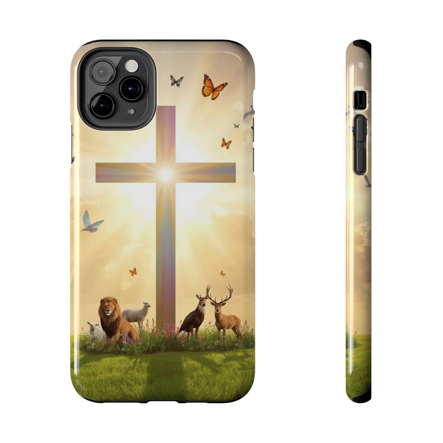 Creator and Creation