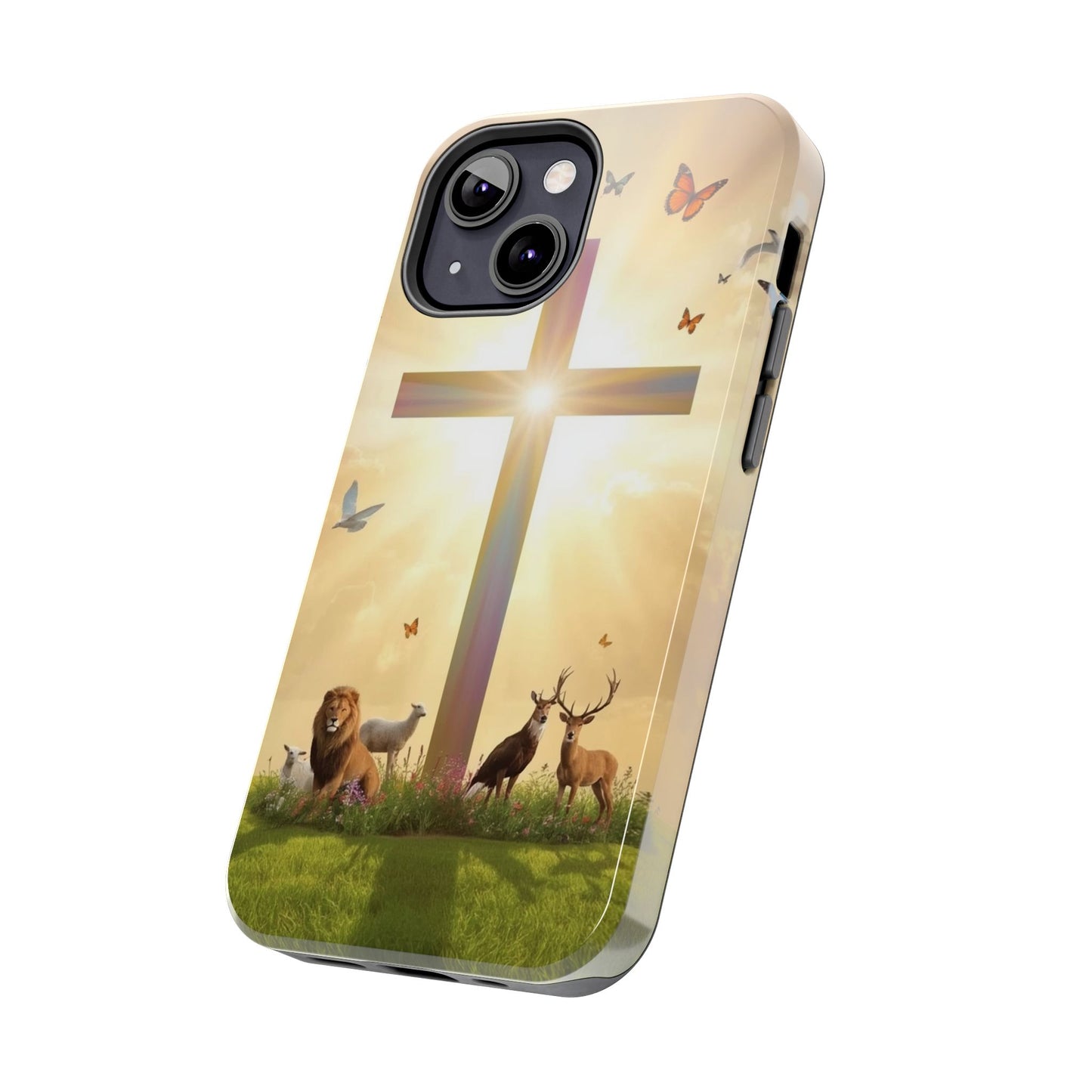 Creator and Creation