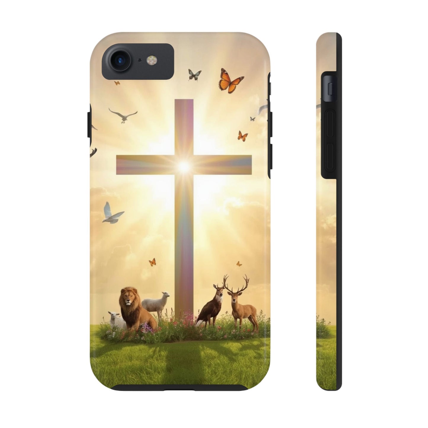 Creator and Creation