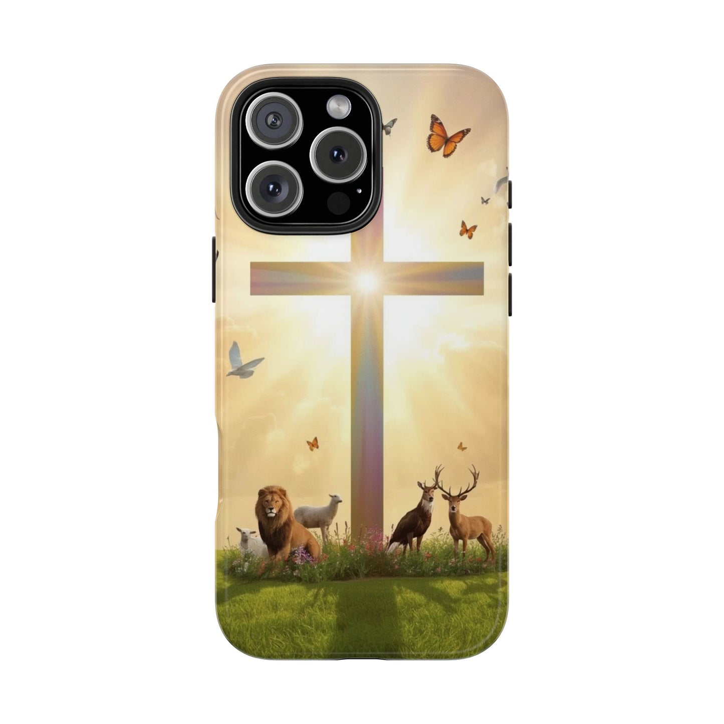 Creator and Creation