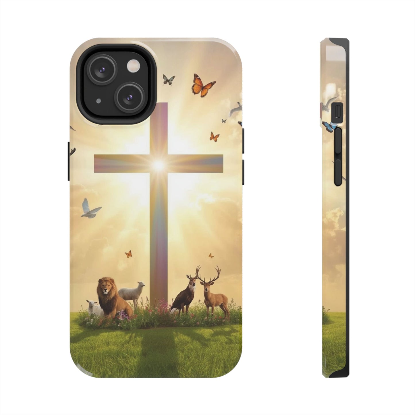 Creator and Creation