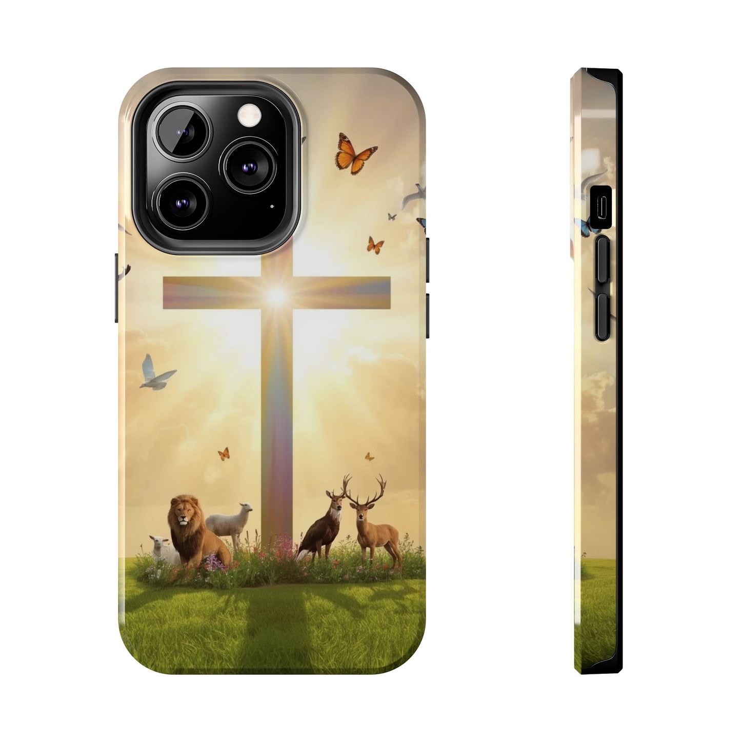 Creator and Creation