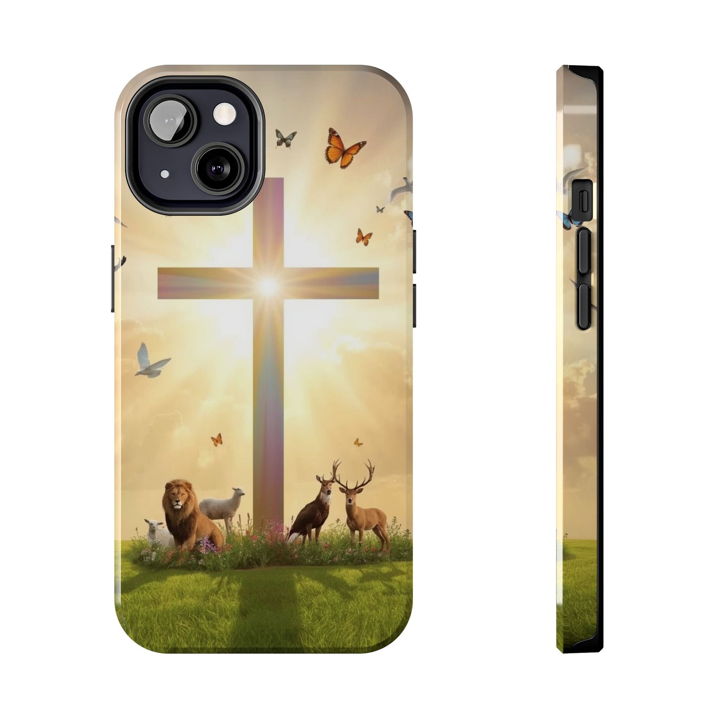 Creator and Creation