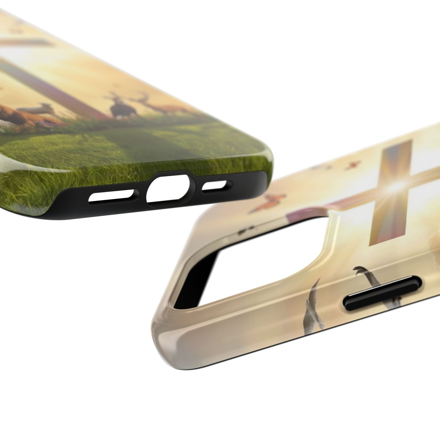 Creator and Creation