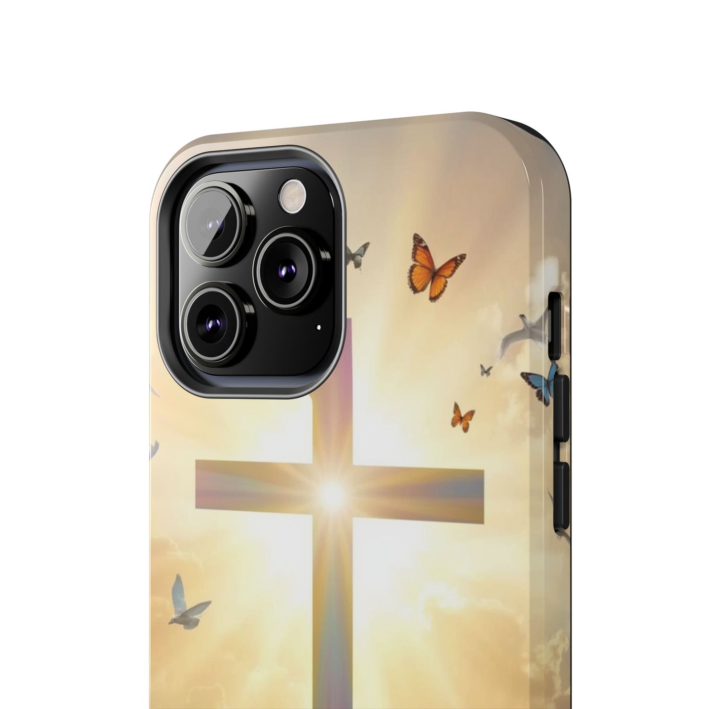 Creator and Creation