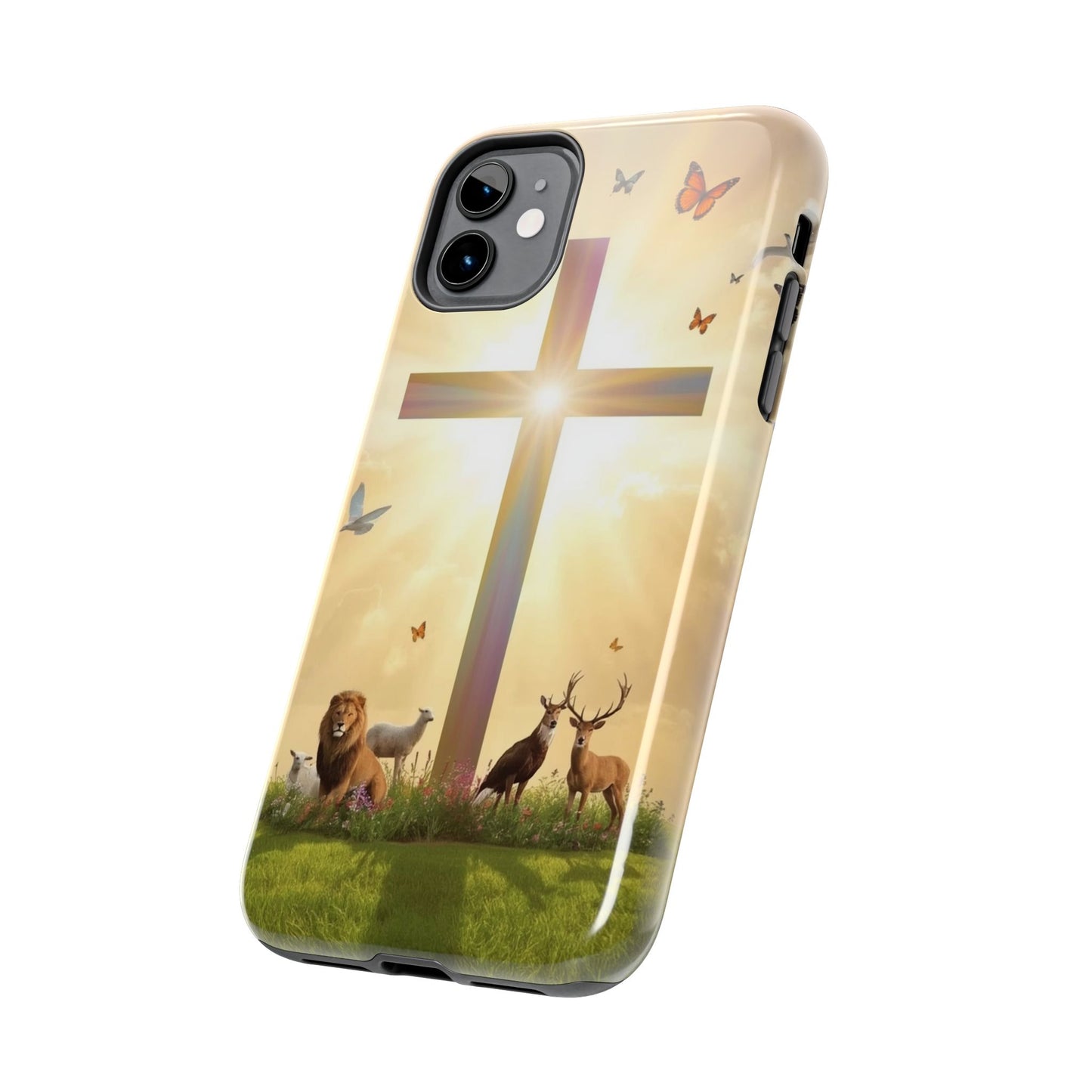 Creator and Creation