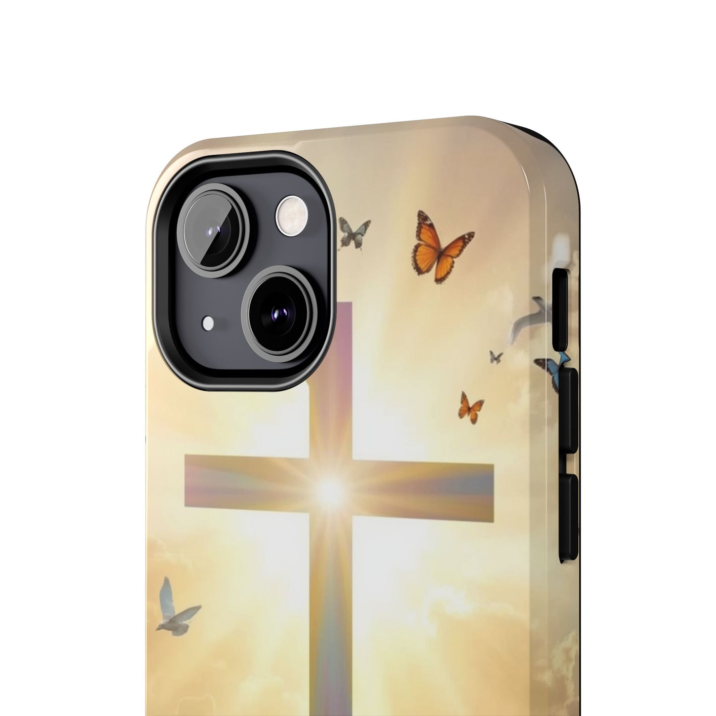 Creator and Creation