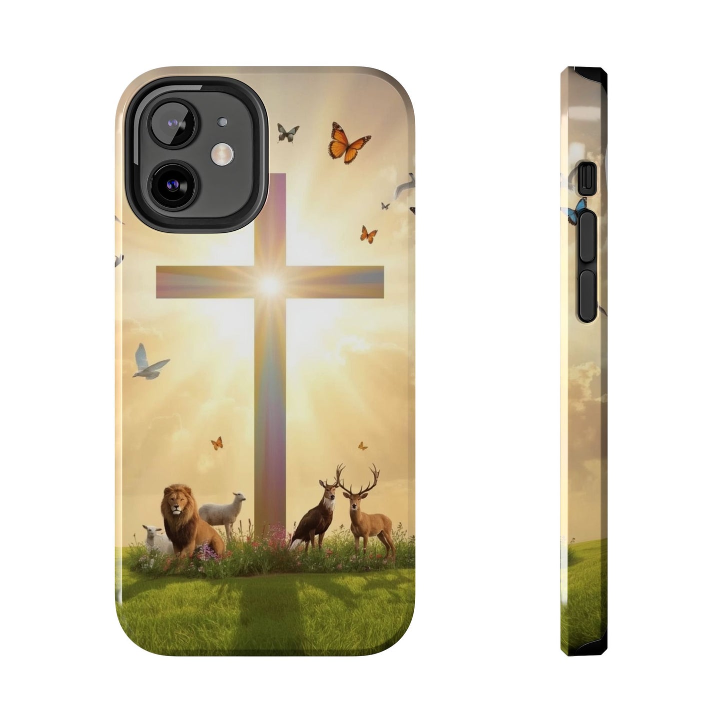 Creator and Creation