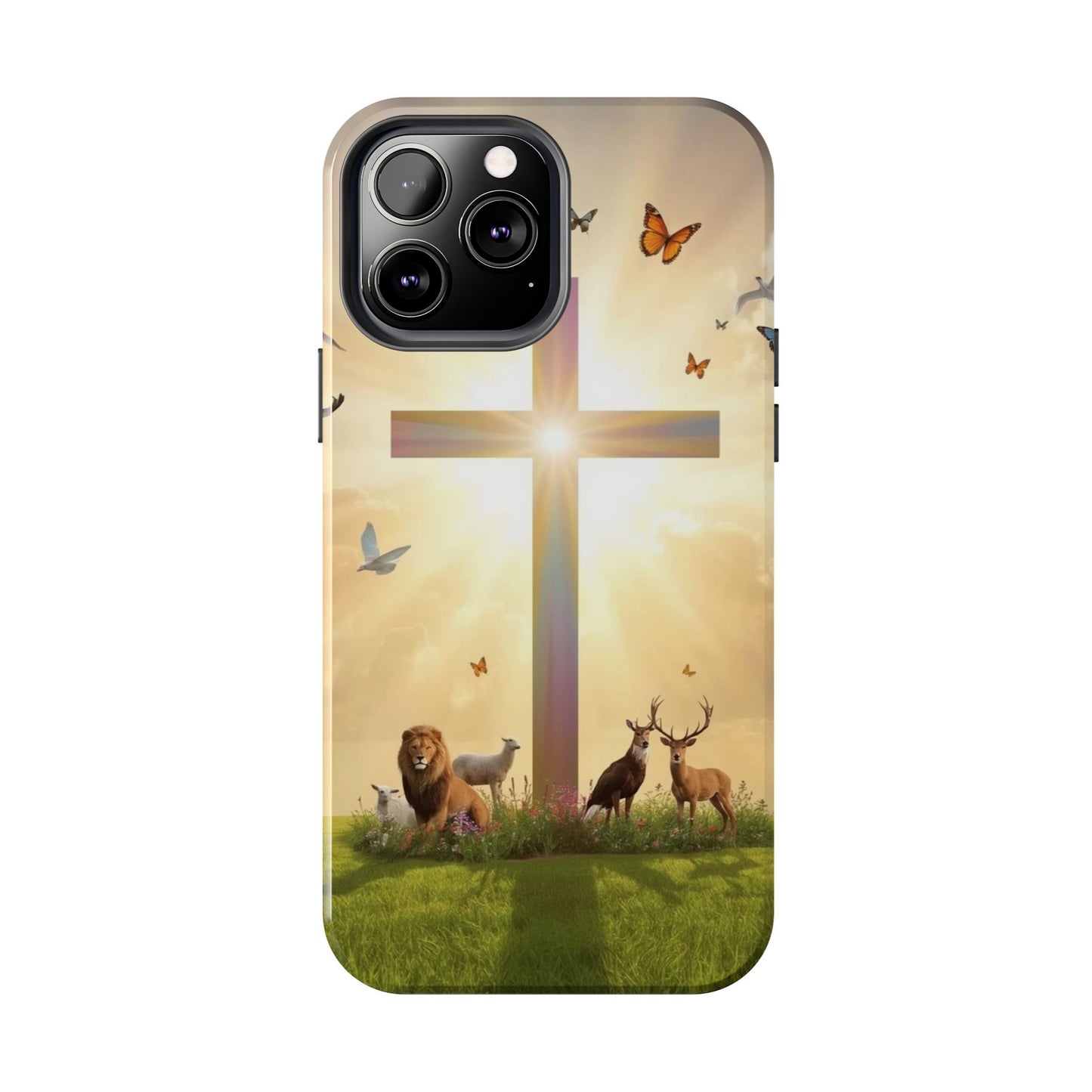 Creator and Creation