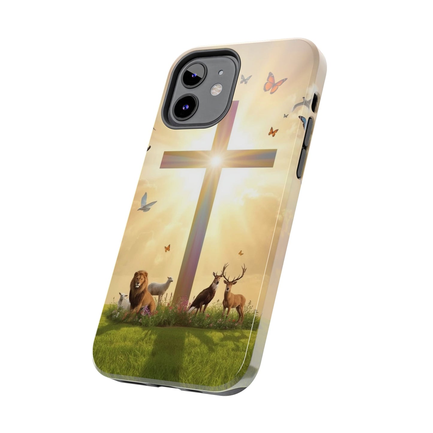 Creator and Creation