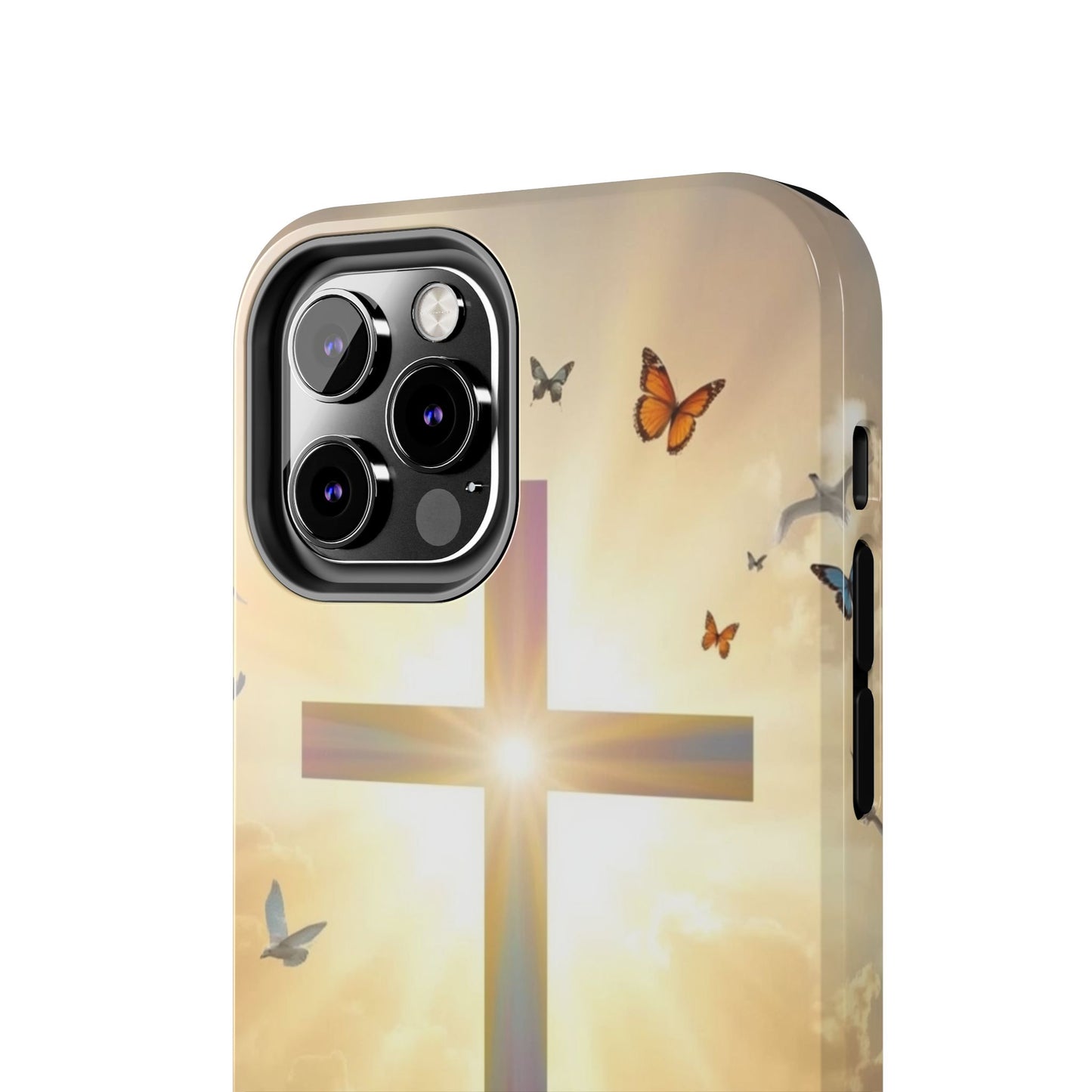 Creator and Creation