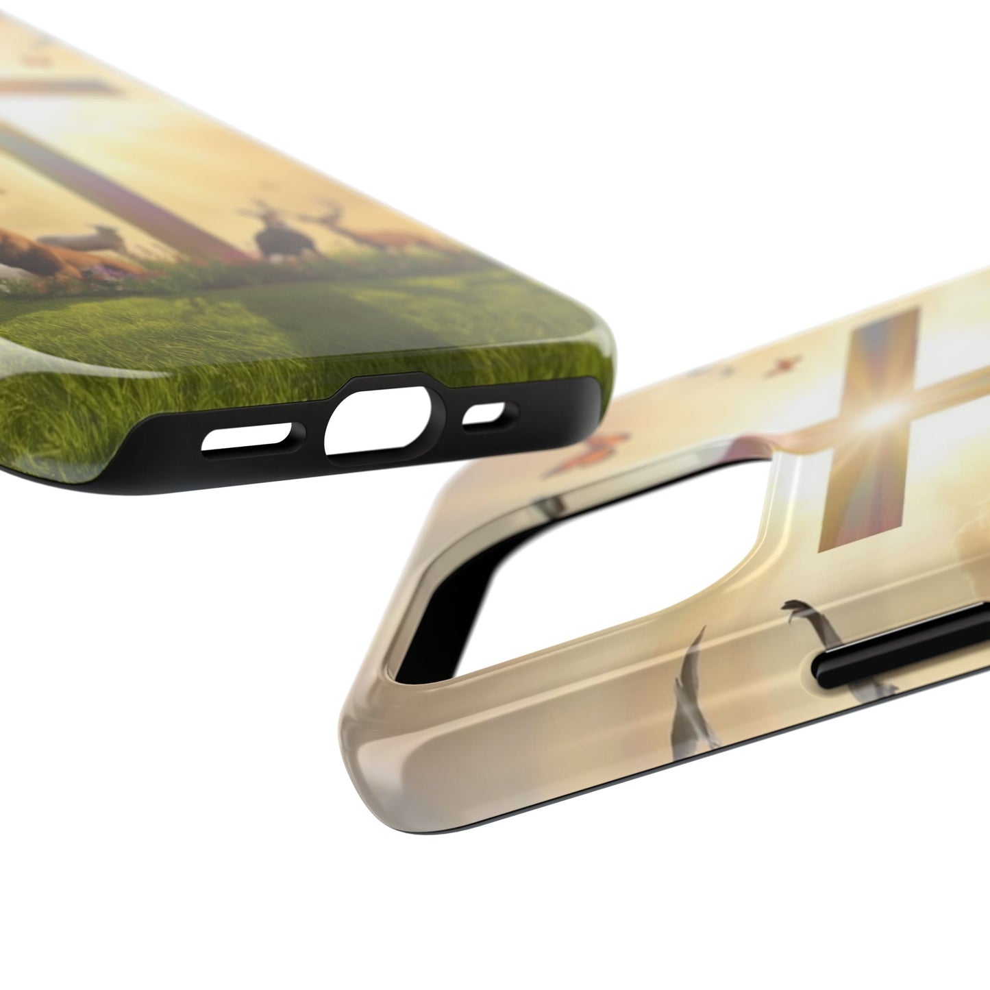 Creator and Creation