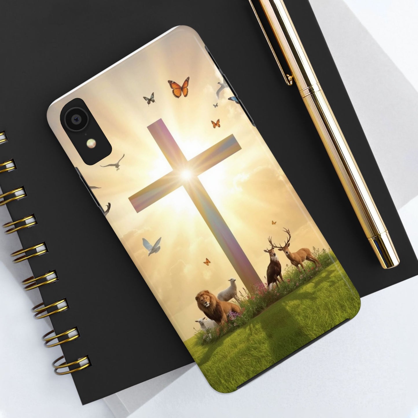 Creator and Creation