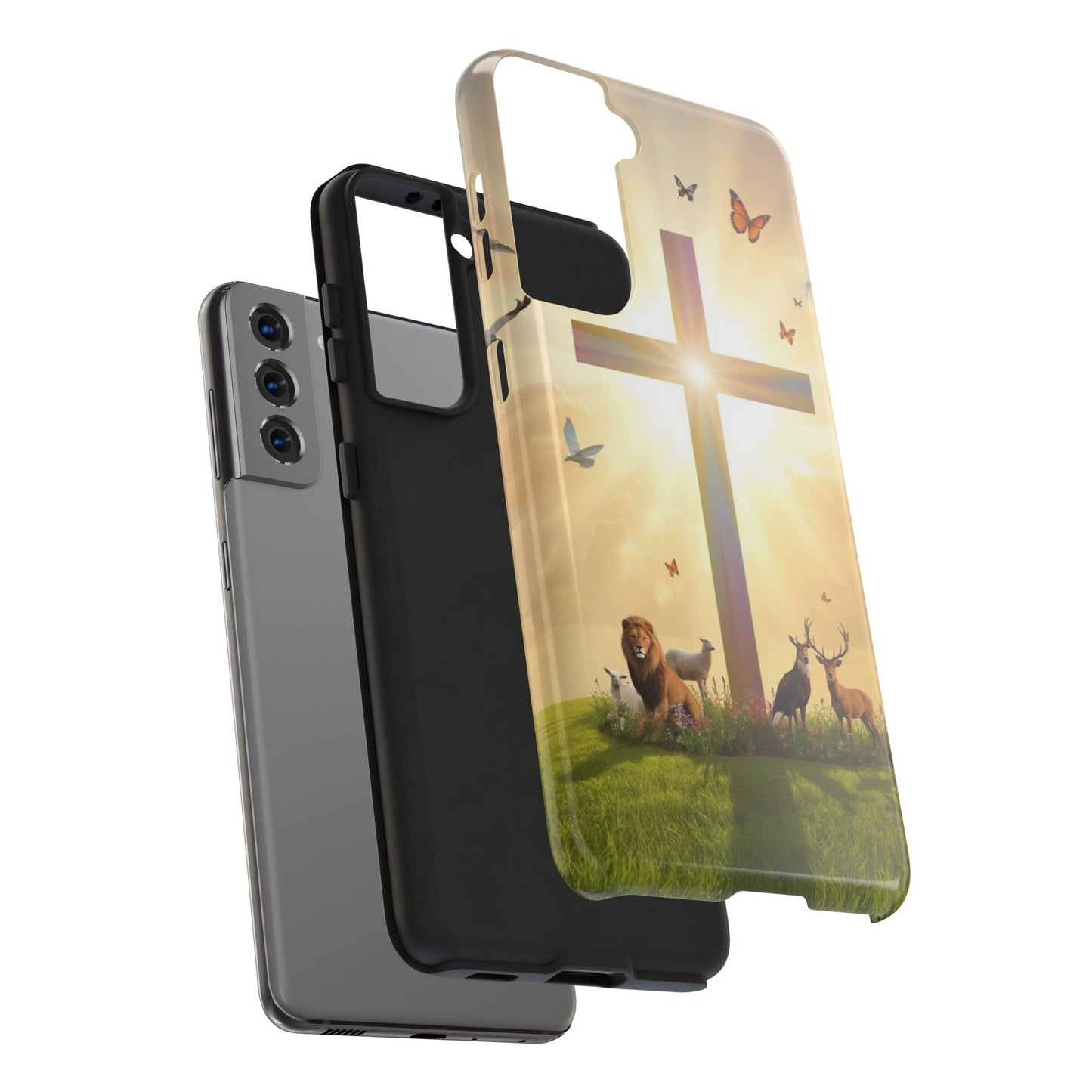 Creator and Creation