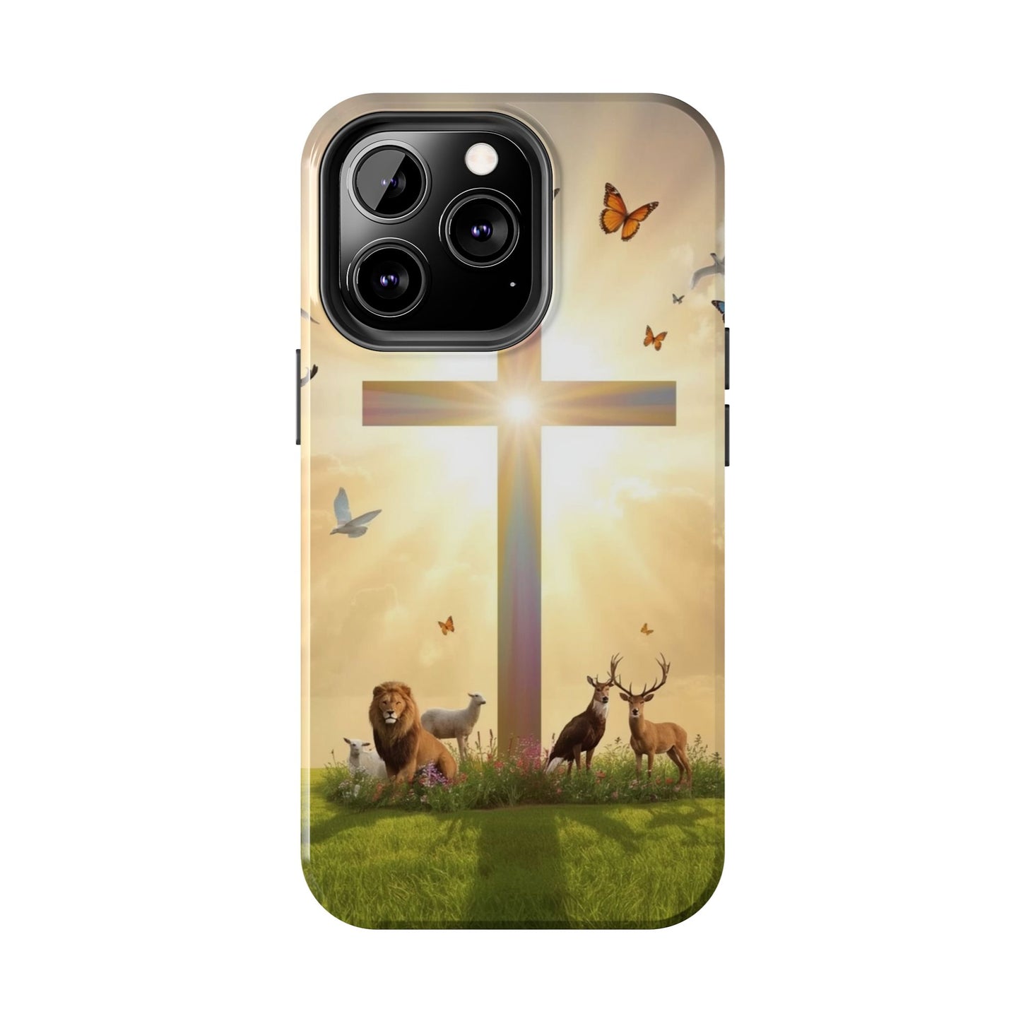 Creator and Creation