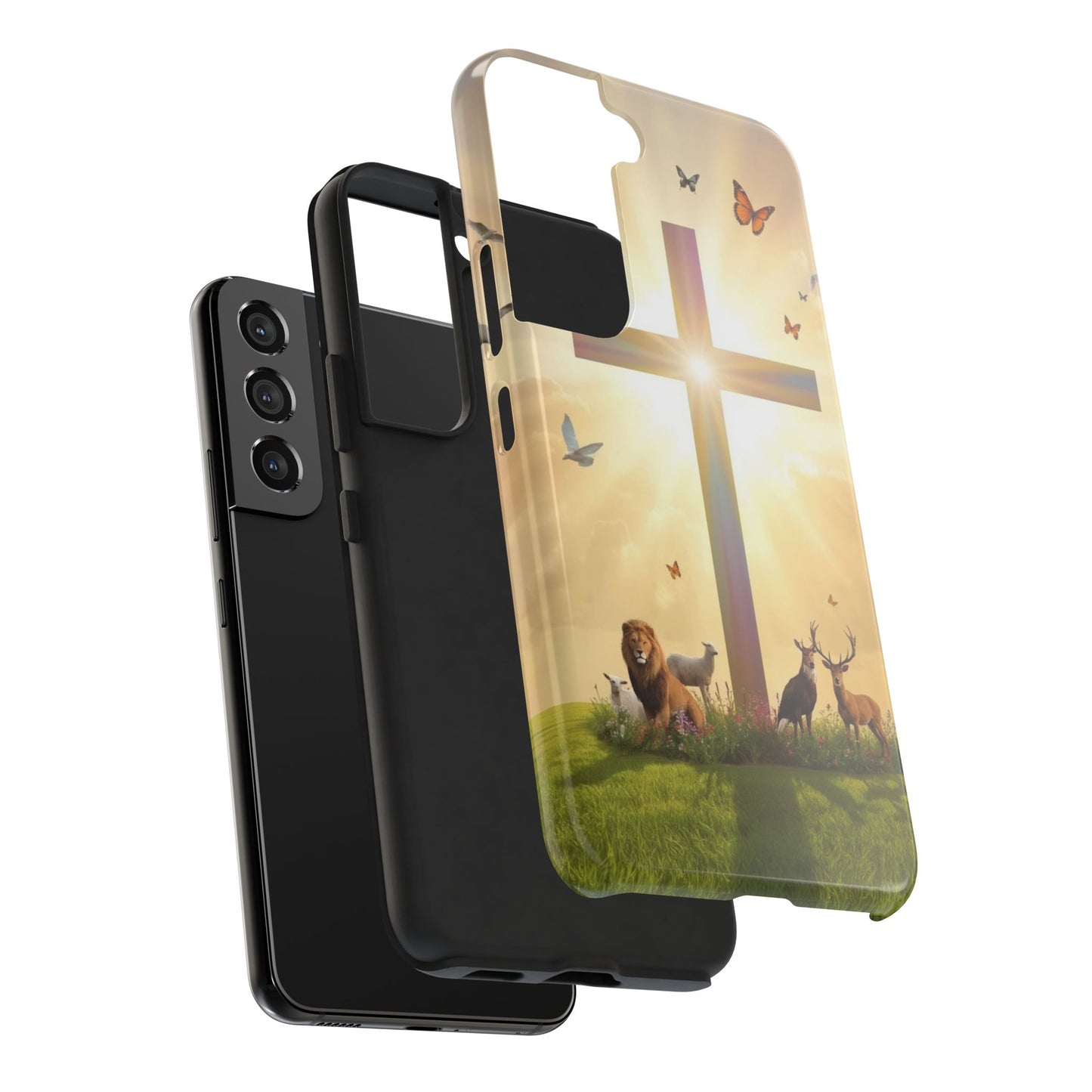 Creator and Creation