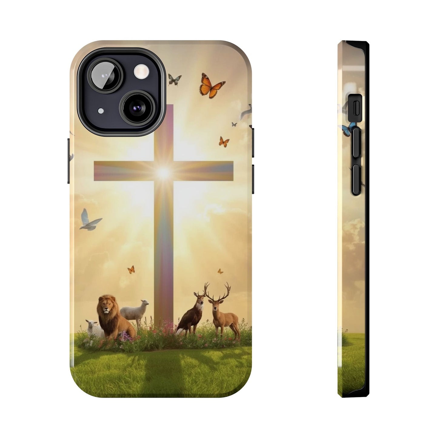 Creator and Creation