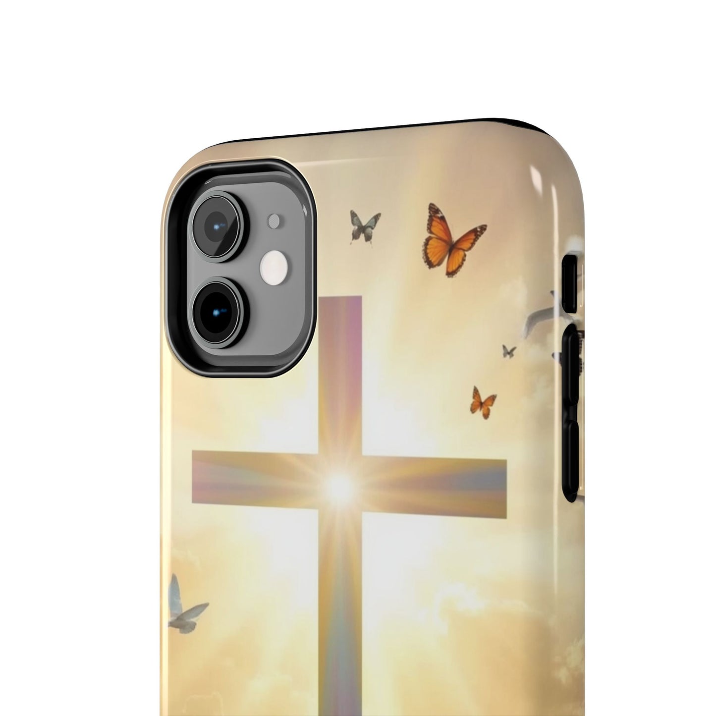 Creator and Creation