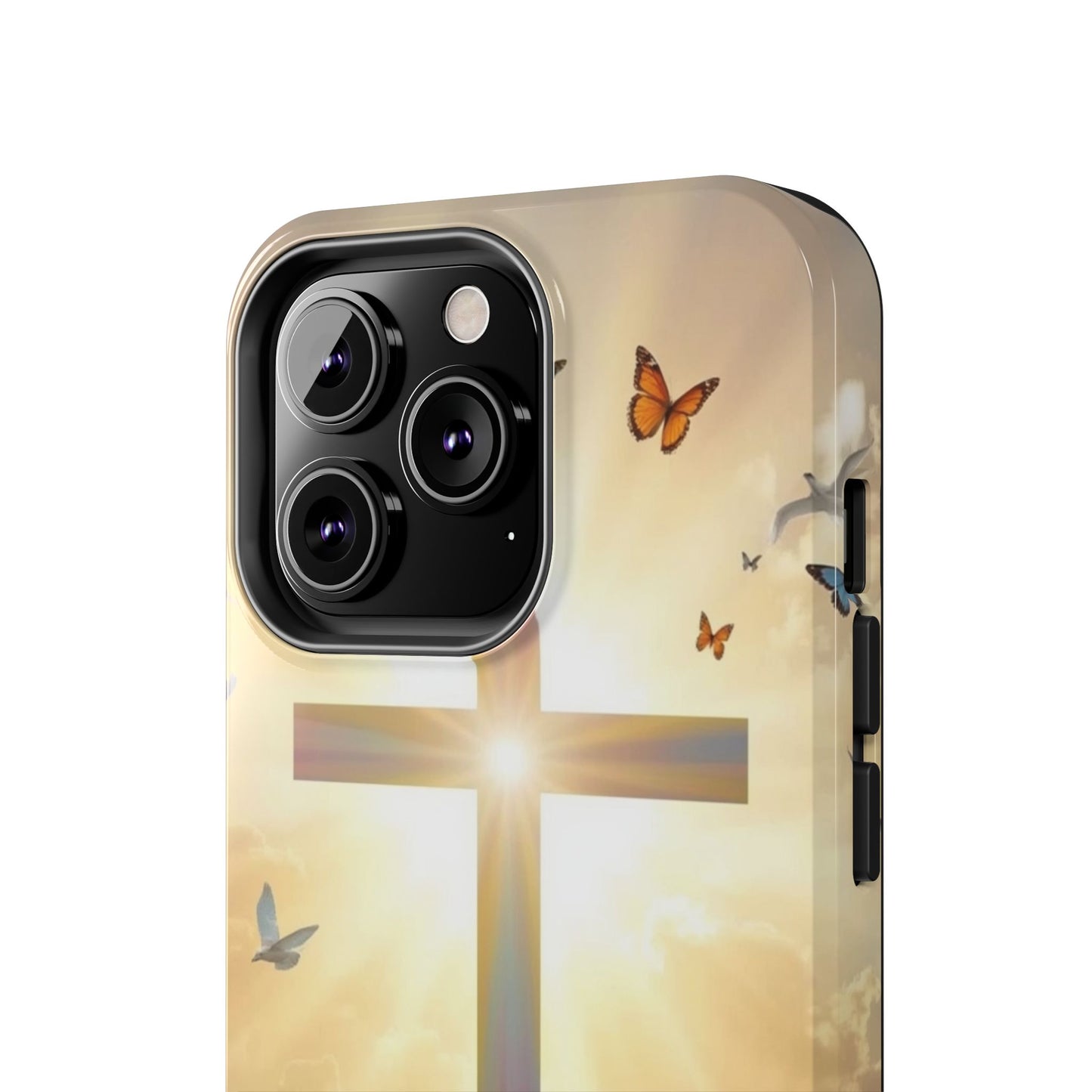 Creator and Creation