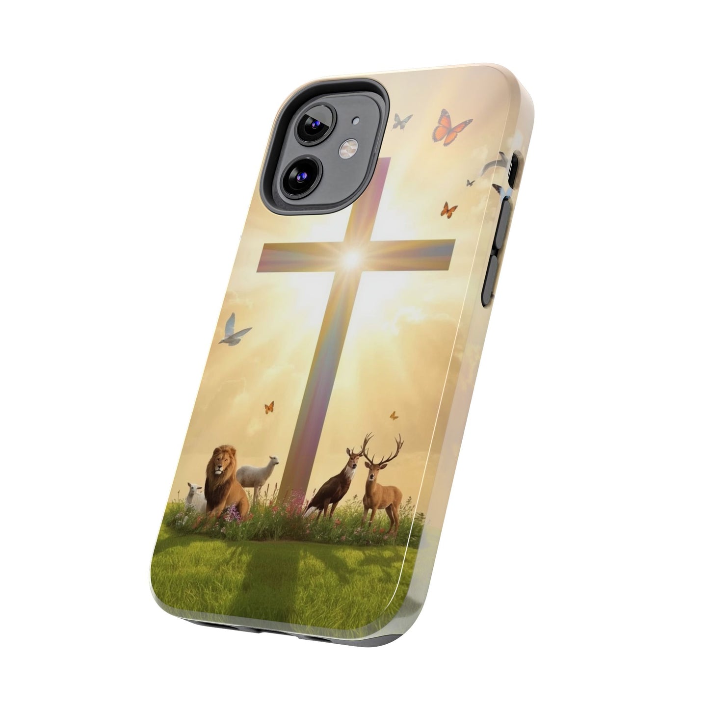 Creator and Creation