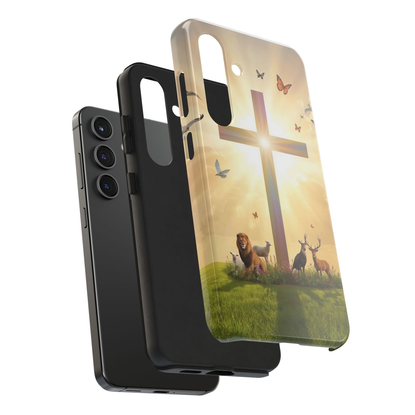 Creator and Creation