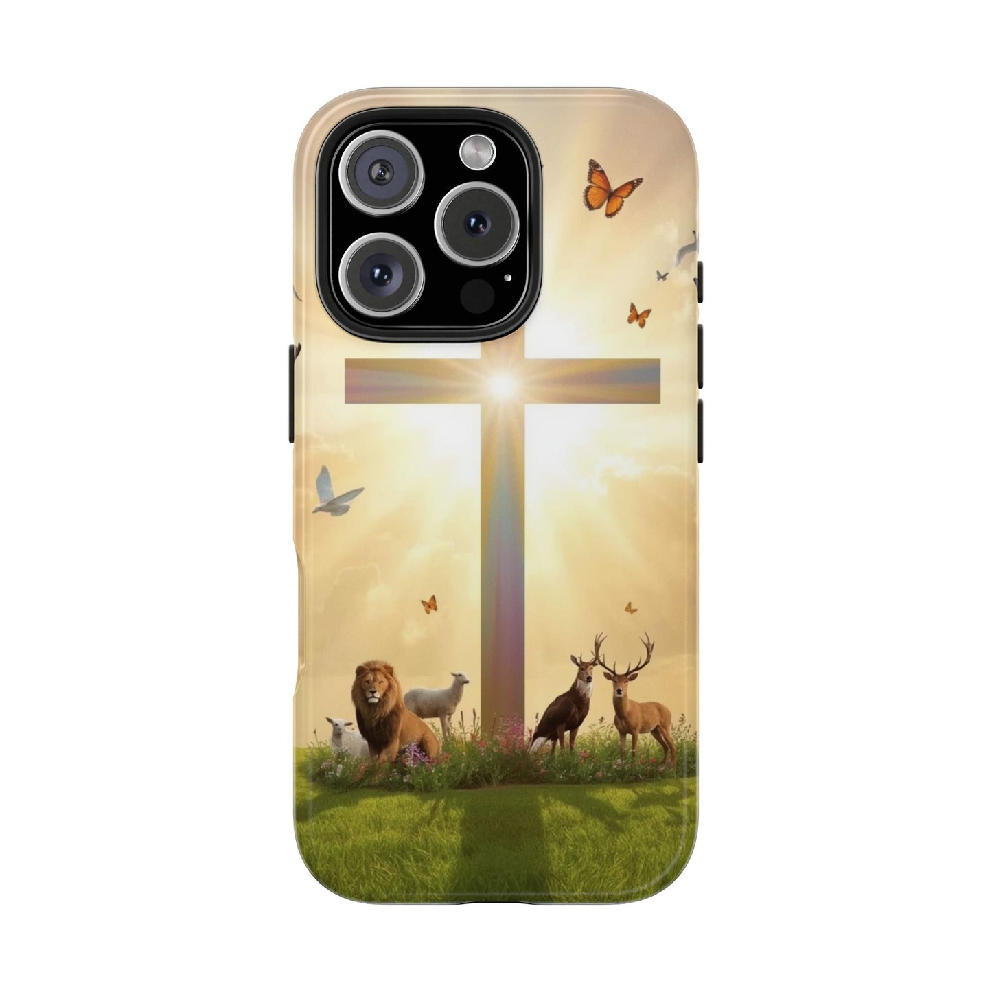 Creator and Creation