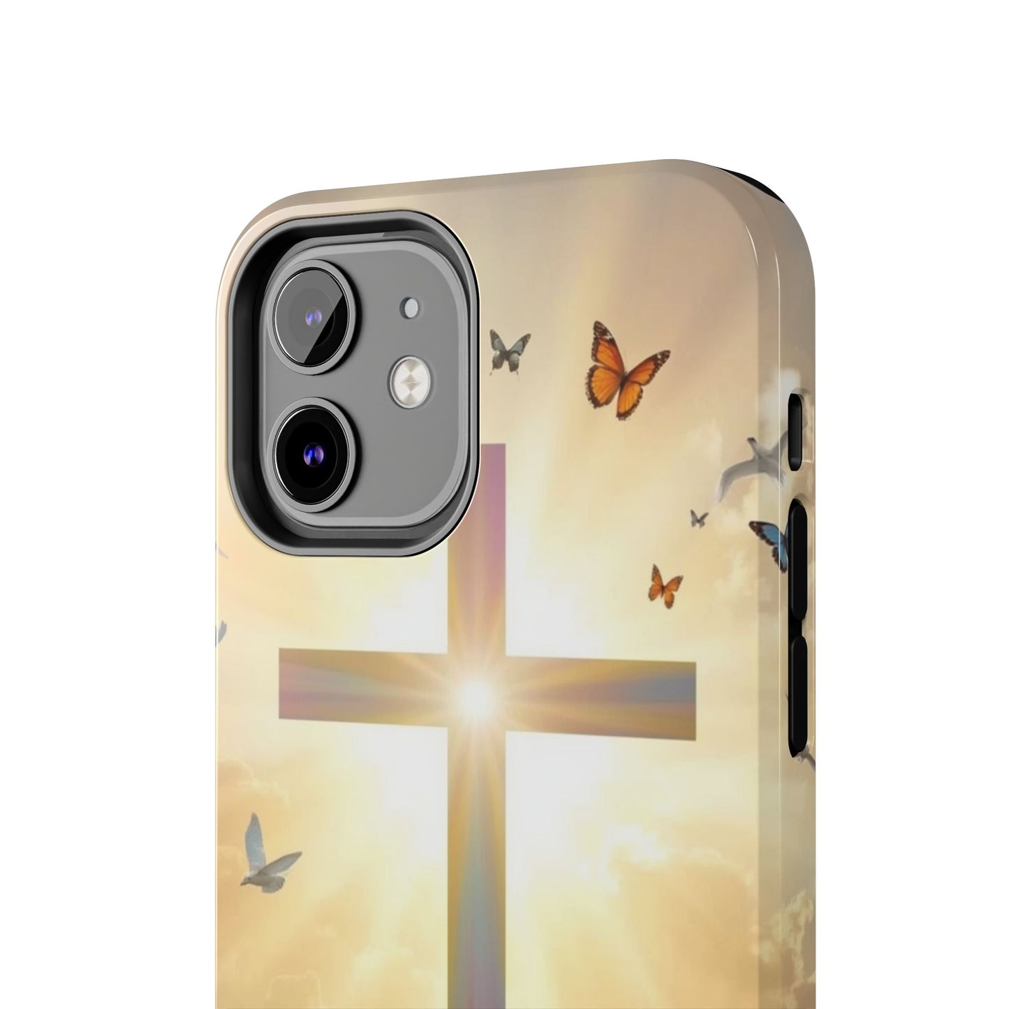 Creator and Creation