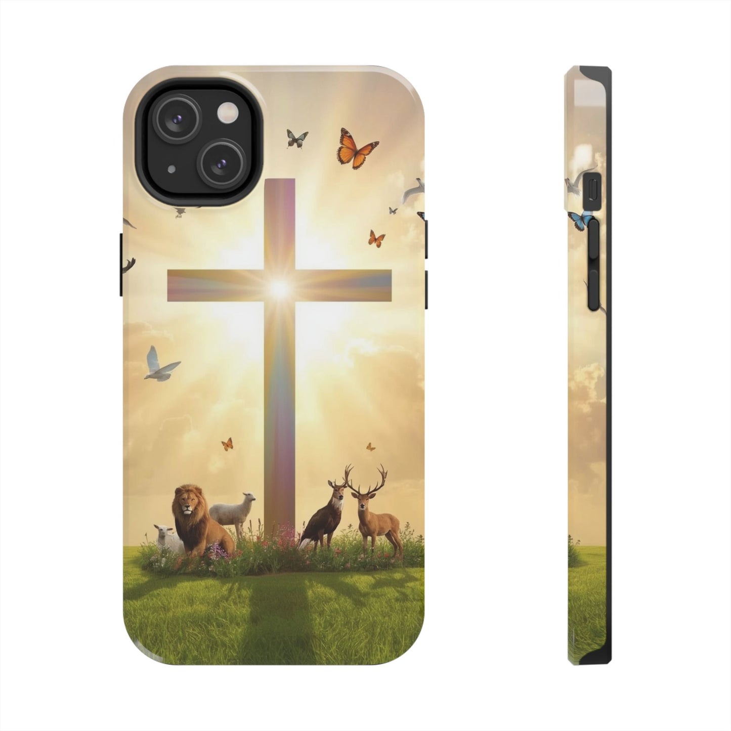 Creator and Creation