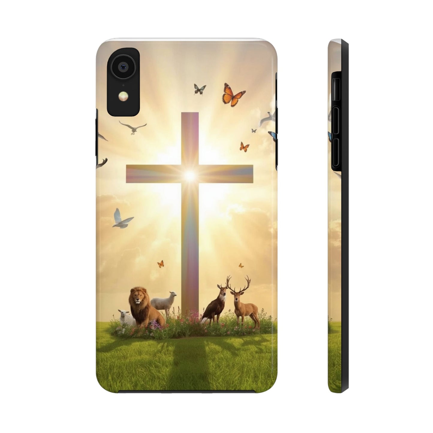 Creator and Creation