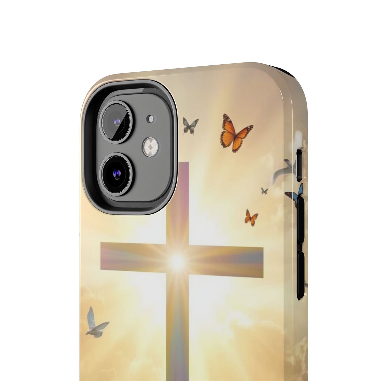 Creator and Creation