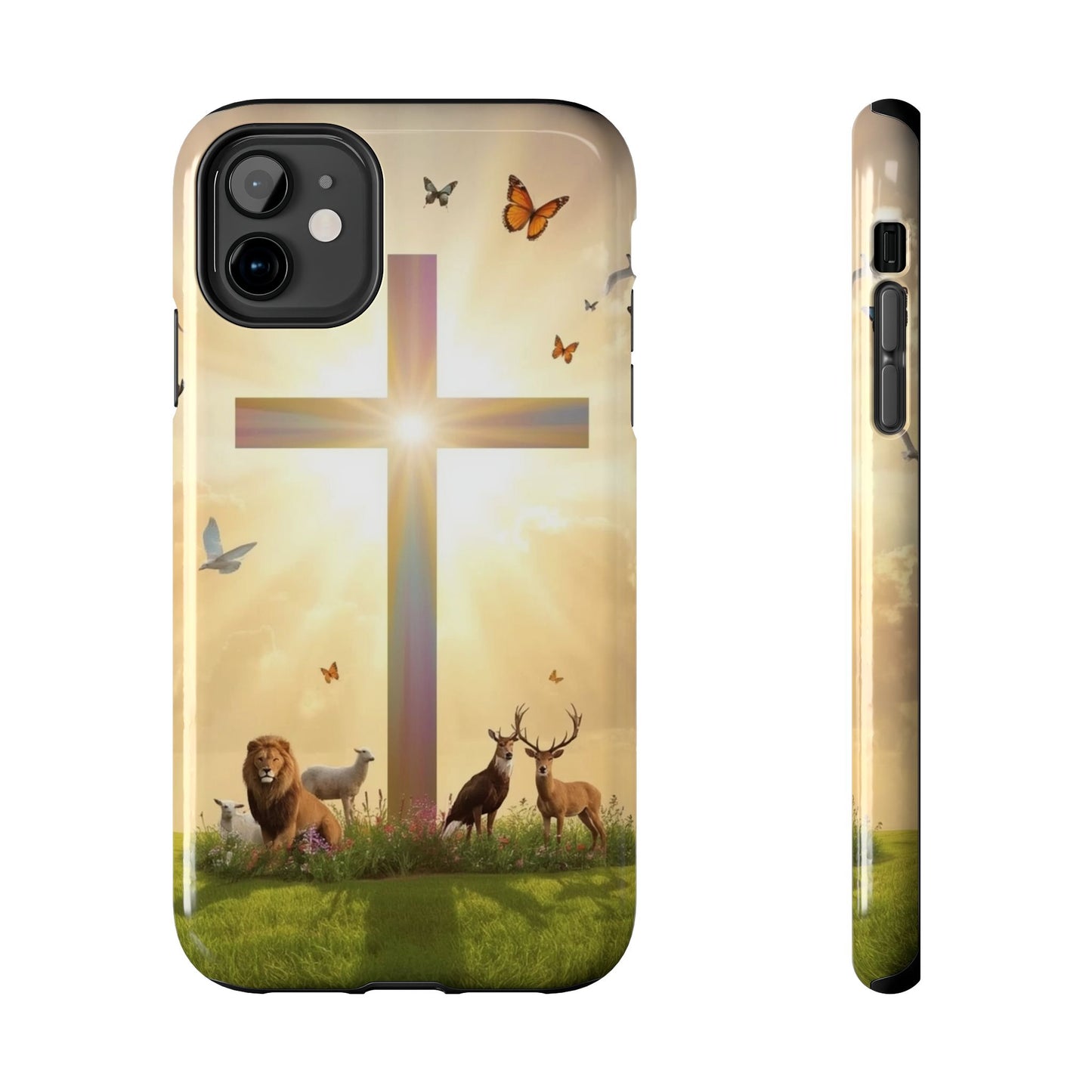 Creator and Creation