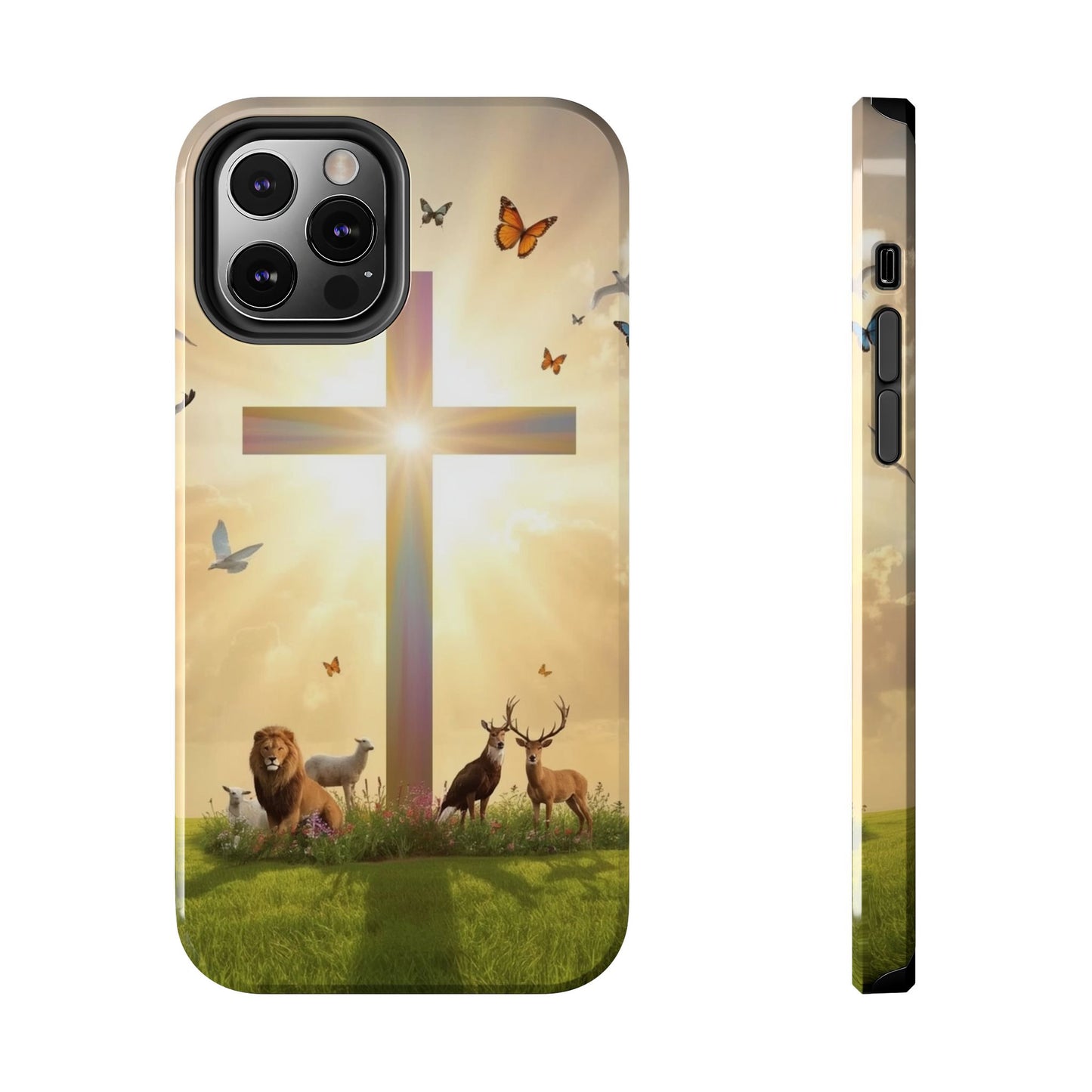 Creator and Creation