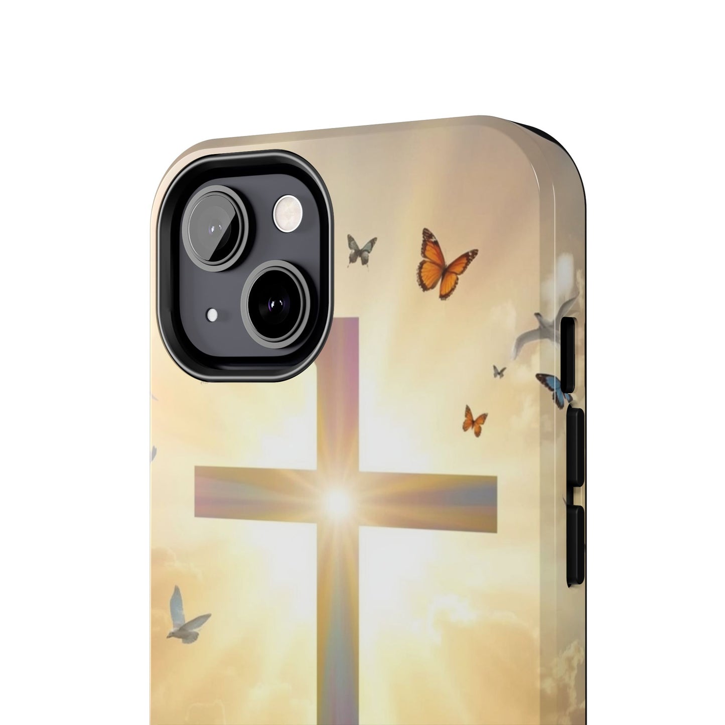 Creator and Creation