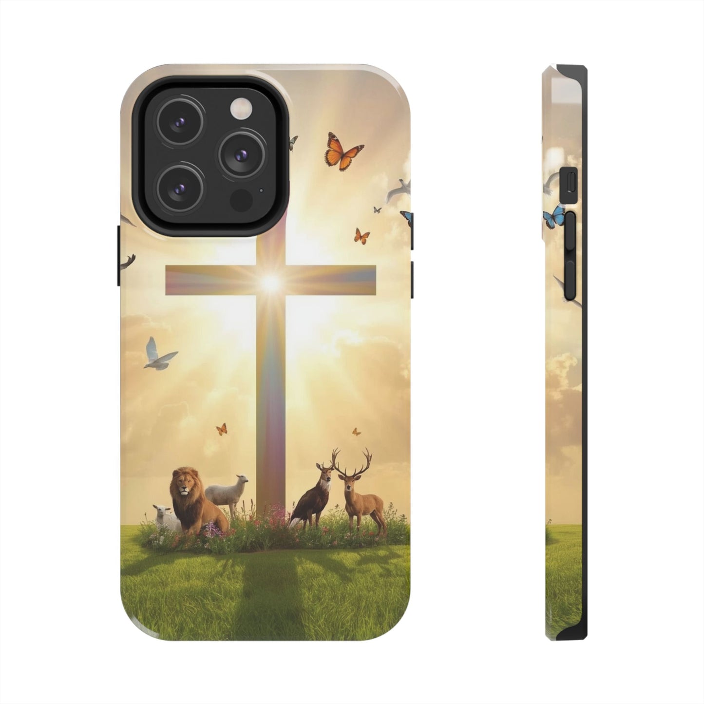 Creator and Creation