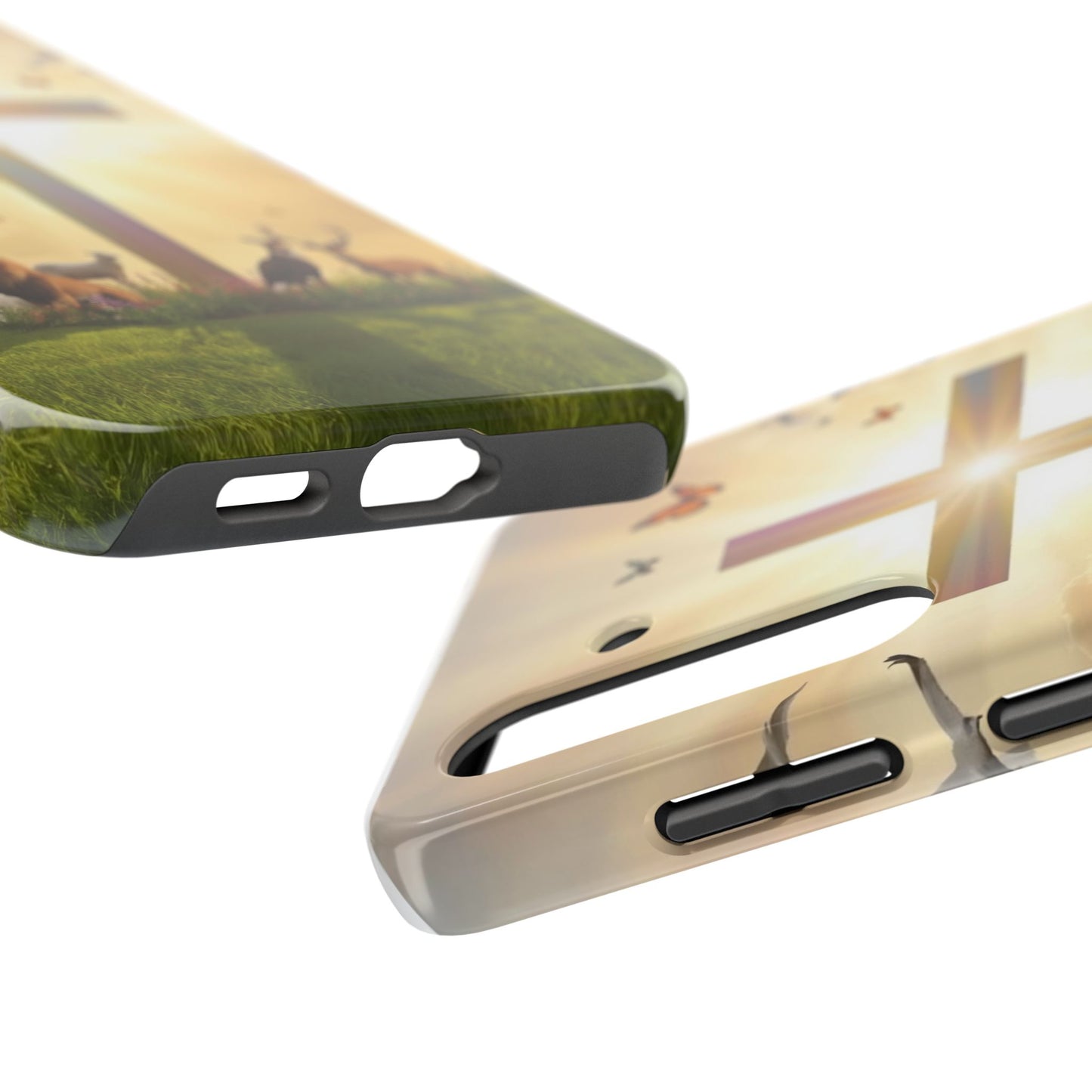 Creator and Creation