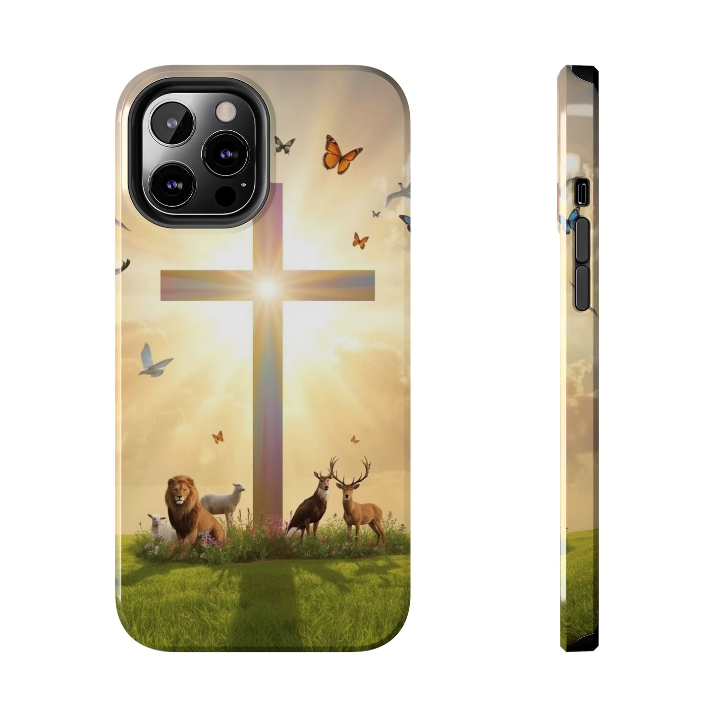 Creator and Creation